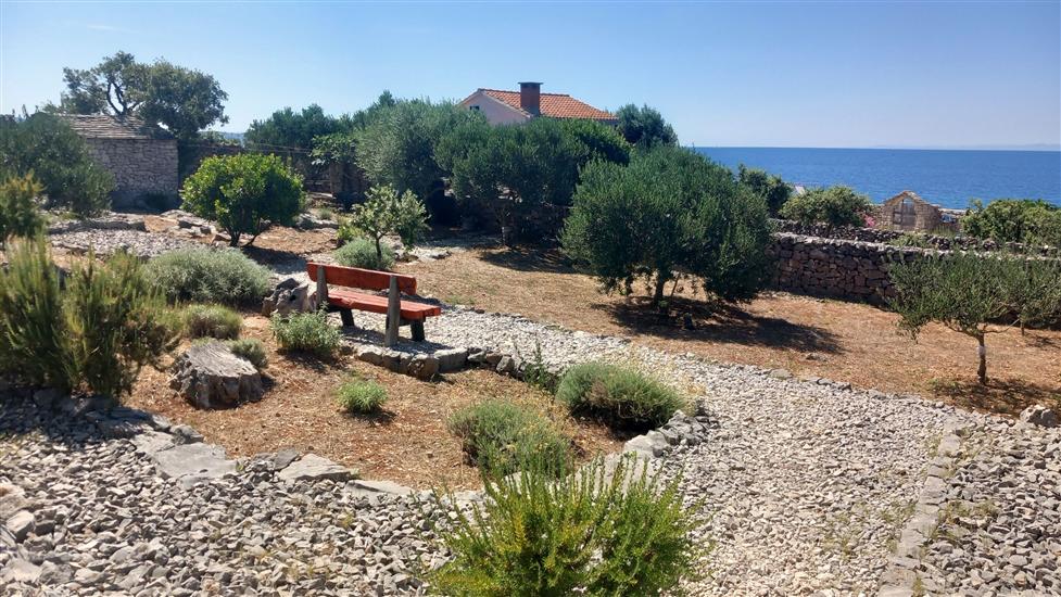 House Robinson Tiziana