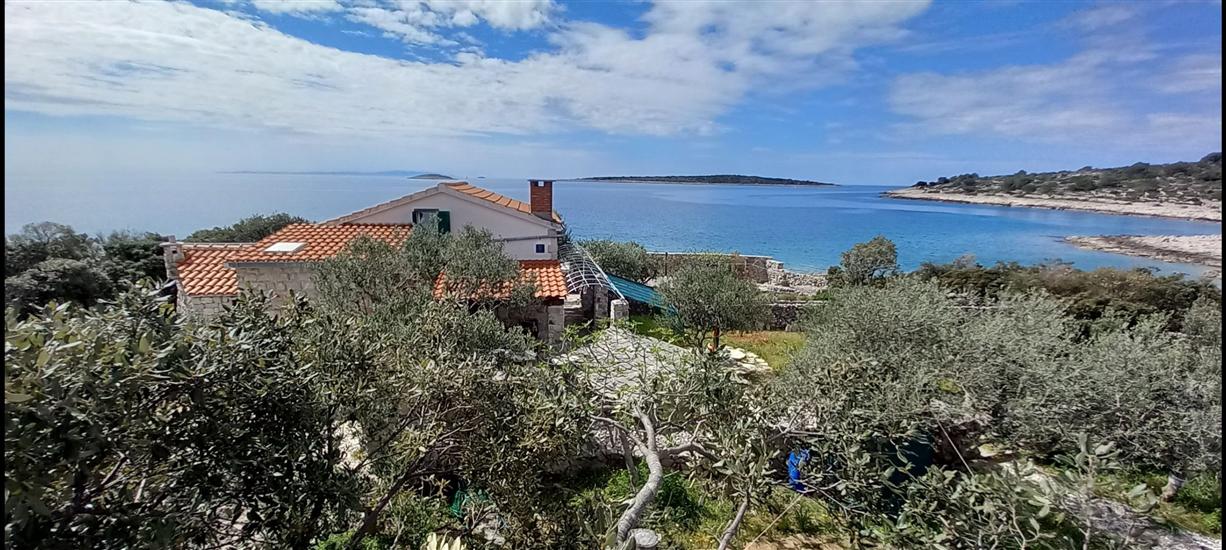 House Robinson Tiziana