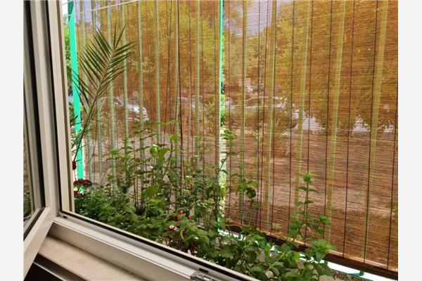 Apartament A1, dla 2 osób