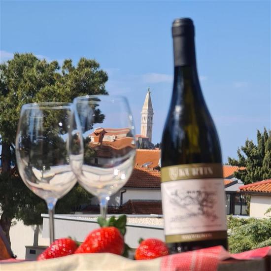 Apartments VILA TENA ROVINJ CROATIA 