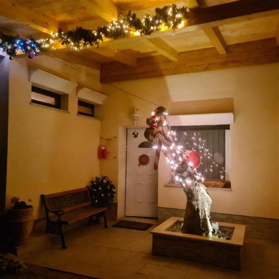 Apartments VILA TENA ROVINJ CROATIA 