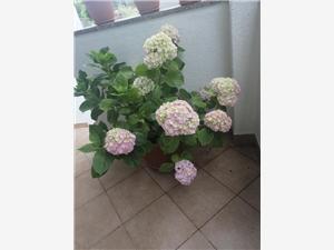 Apartment Sibenik Riviera,BookNadaFrom 171 €