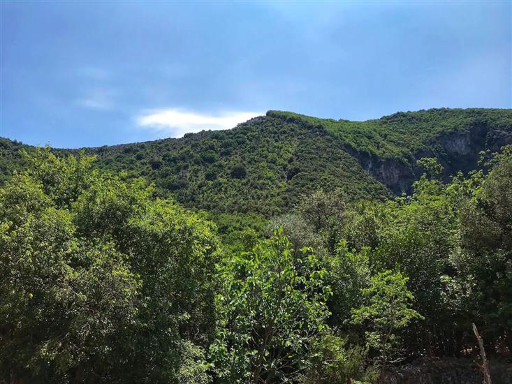 Apartment A1, for 3 persons