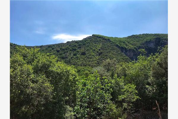 Apartment A1, for 3 persons