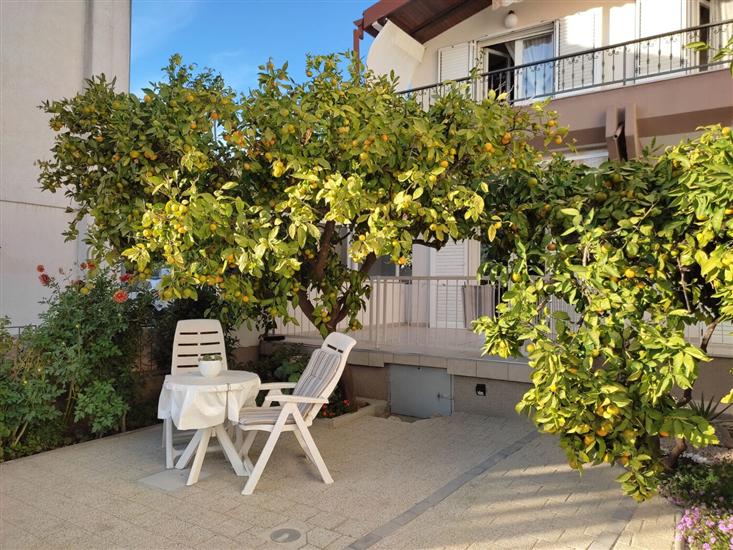 Apartments Neve Beachfront