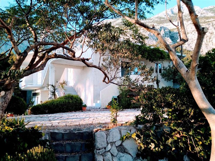 Апартамент Viki