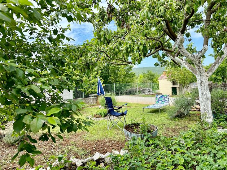 House Tamy - with jacuzzi