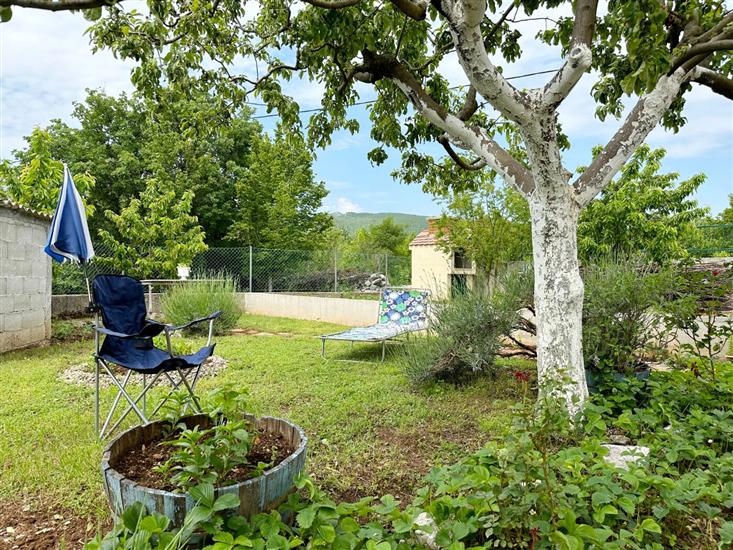 House Tamy - with jacuzzi