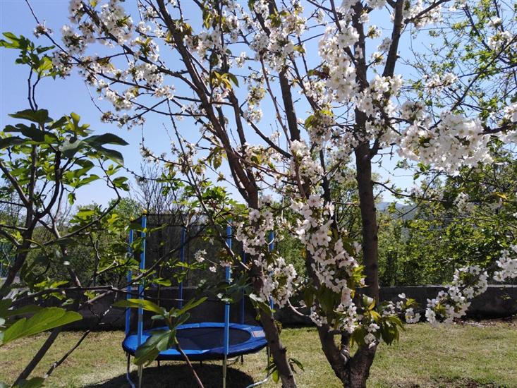 House Tamy - with jacuzzi