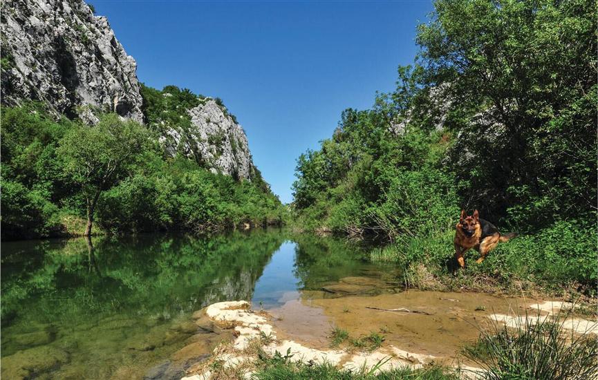 House Tamy - with jacuzzi