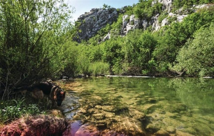 House Tamy - with jacuzzi