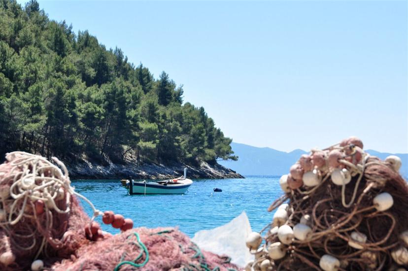 Apartmaji Villa Smokvina