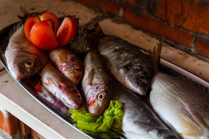 Apartmaji Villa Smokvina