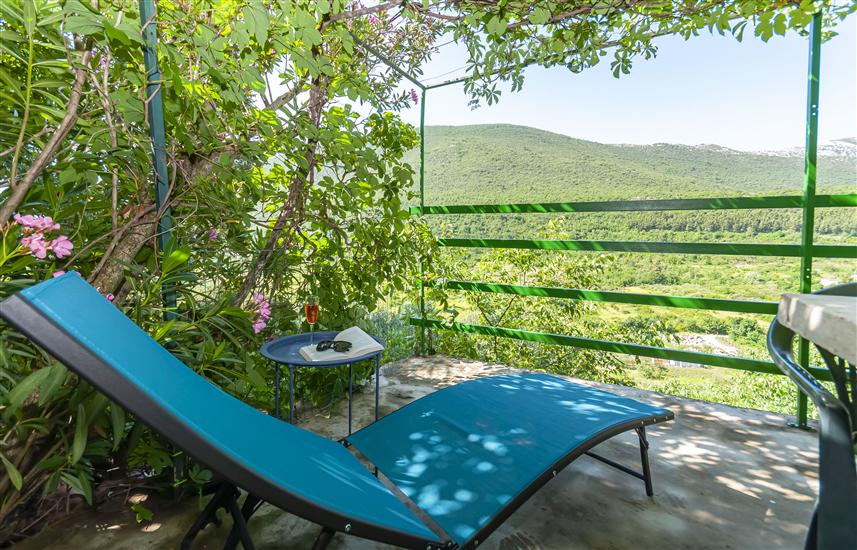 Apartment Feel the nature