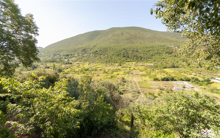 Apartment Feel the nature