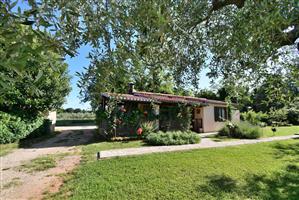 House - Umag