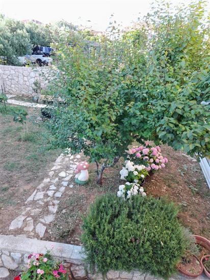 Apartment Sunny Terrace Oasis