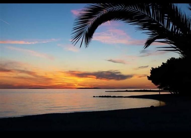 Apartment Sunny Terrace Oasis