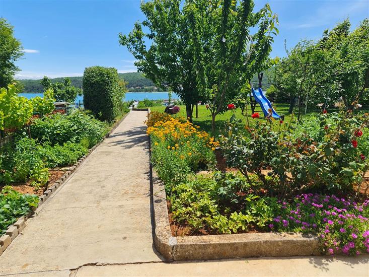 Apartments Citković