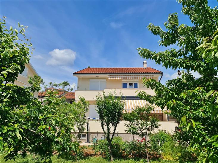 Apartments Citković