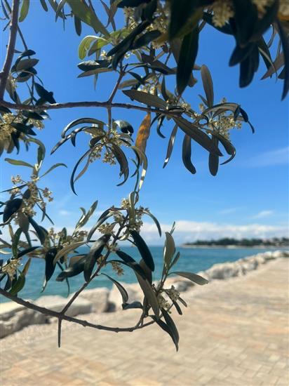 Apartment Seaside & Golf