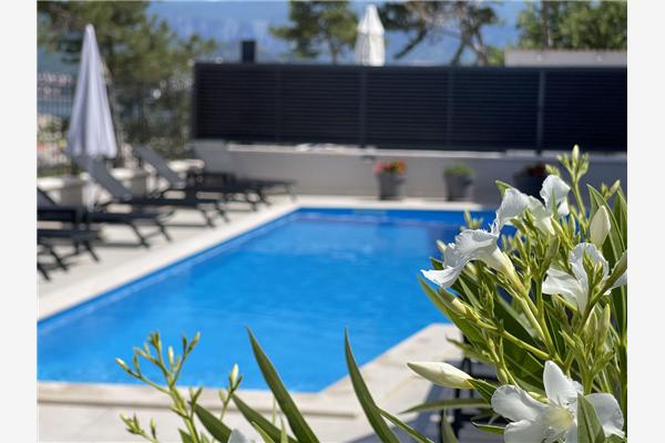 Apartment A12, for 4 persons