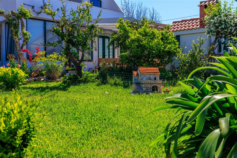 Apartments Near the sea Barbat