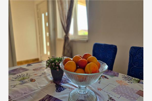 Apartment A2, for 5 persons