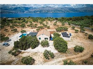 House Bračuta Pucisca - island Brac, Size 60.00 m2, Accommodation with pool