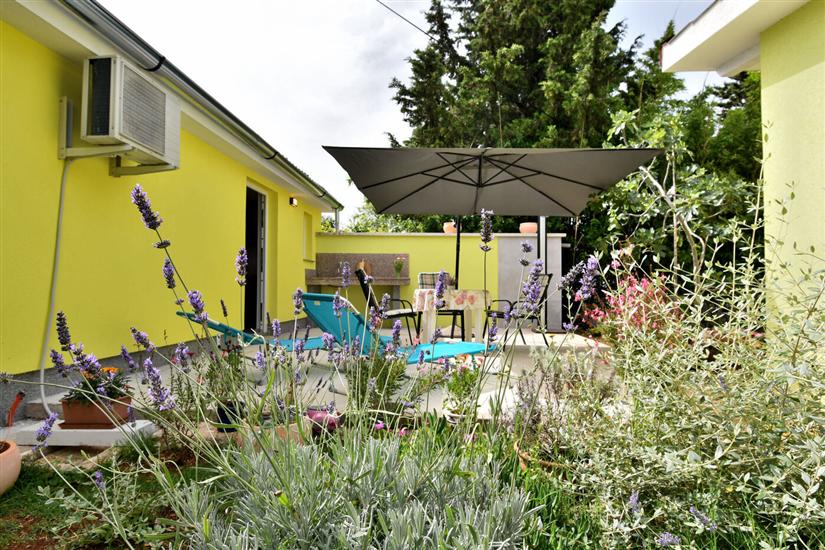 Apartment Cozy garden