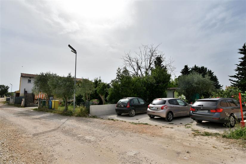 Apartment Cozy garden