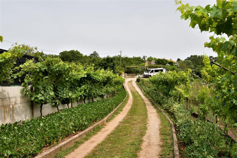 House Gioia Cristina