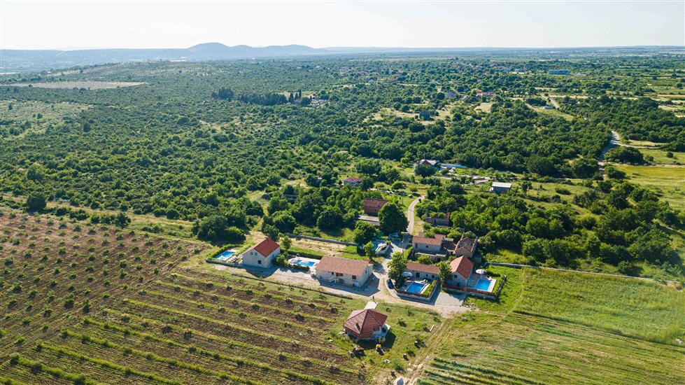 House Stone Curlew 5