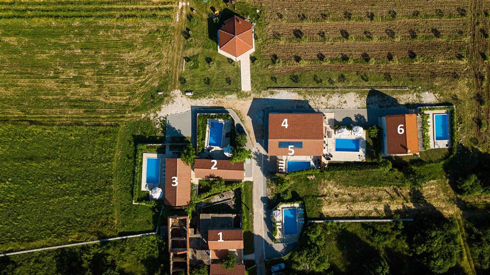 House Stone Curlew 3