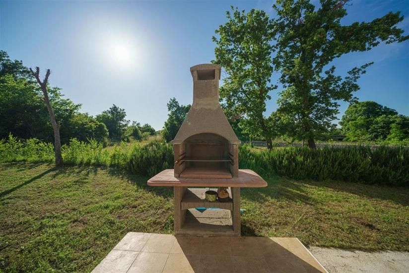 House Stone Curlew 6