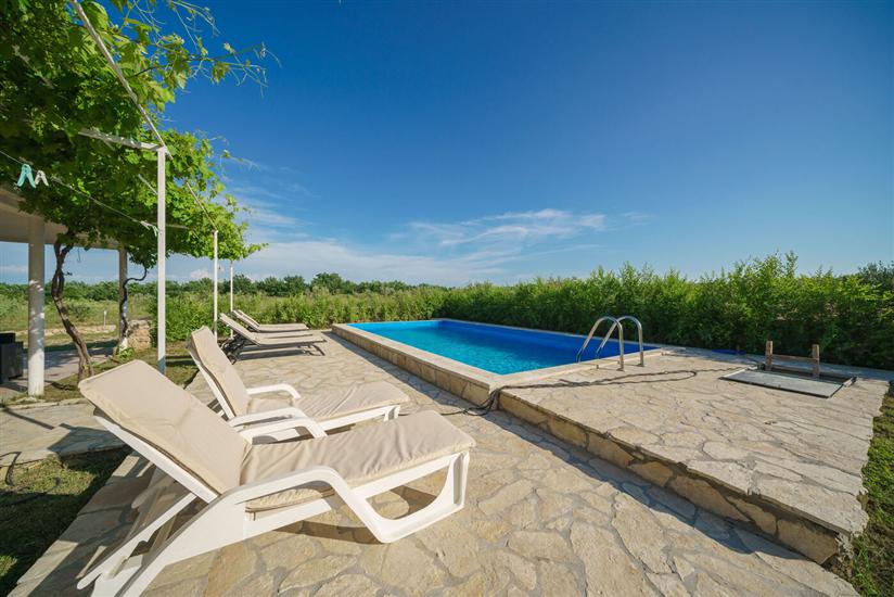 House Stone Curlew 6