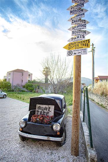 Apartments Silver Tree