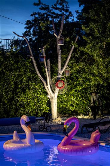 Apartments Silver Tree