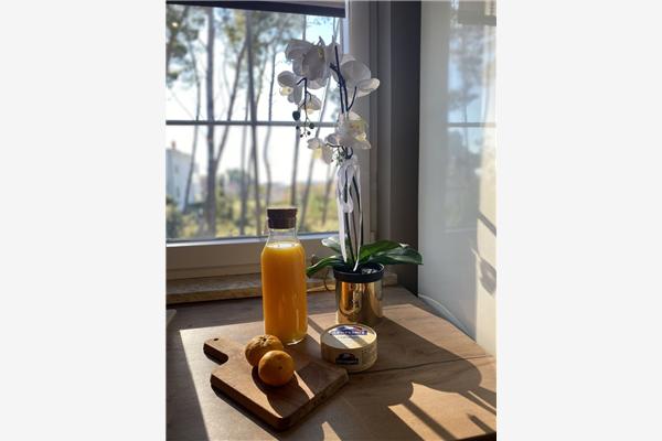 House K1, for 6 persons