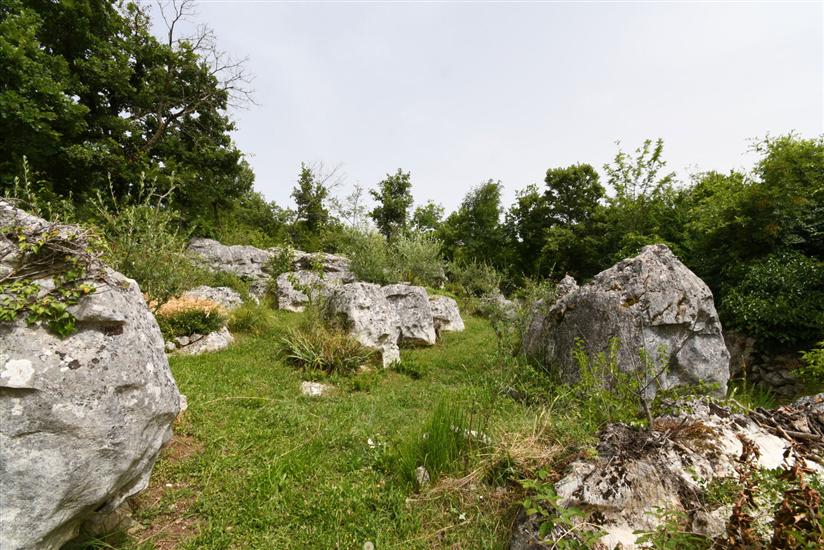 House Gioia Cristina