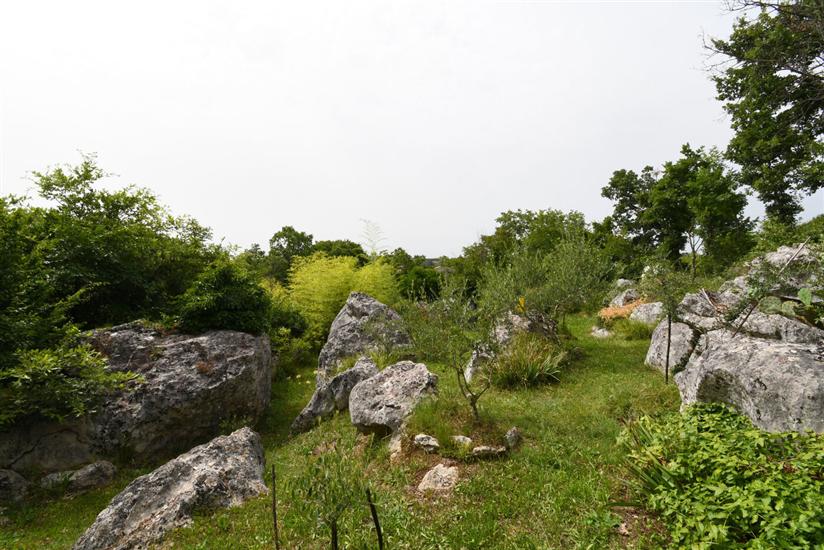 House Gioia Cristina