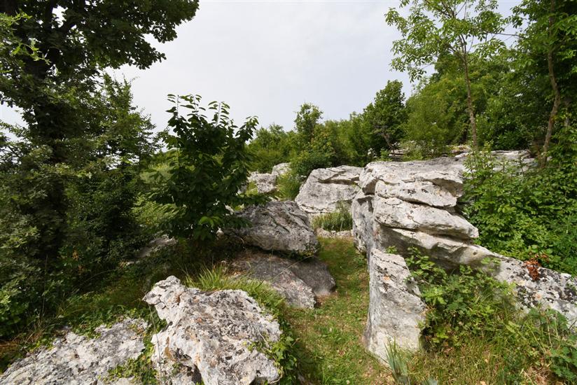 House Gioia Cristina