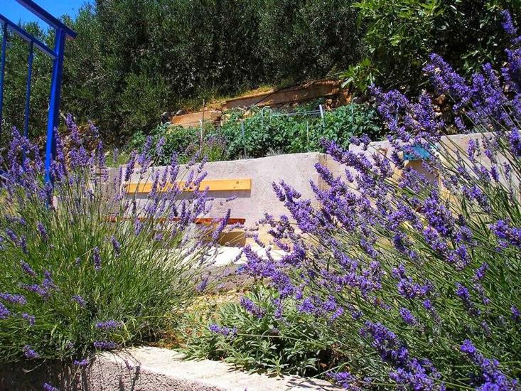 Apartment A3, for 5 persons