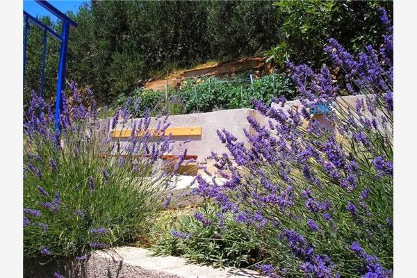 Apartment A3, for 5 persons