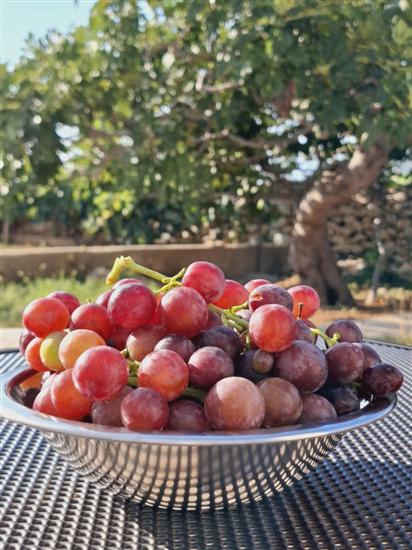 Apartmá A1, pro 4 osoby