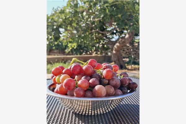 Apartmá A1, pro 4 osoby