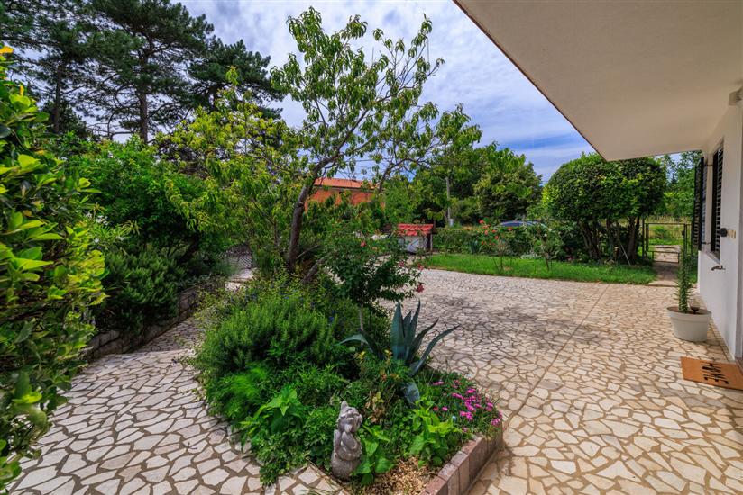 Apartmaj Oasis of peace 2