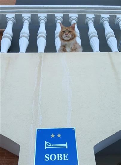 Room S1, for 2 persons