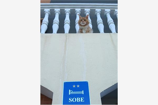 Room S1, for 2 persons