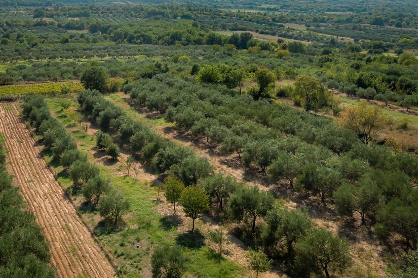 Villa Manda Adriatic